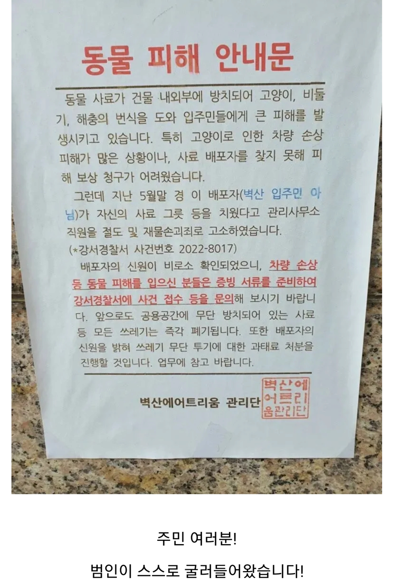 i16250329309.png