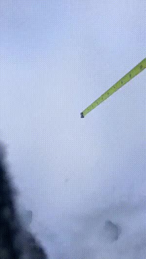 1649583973.gif