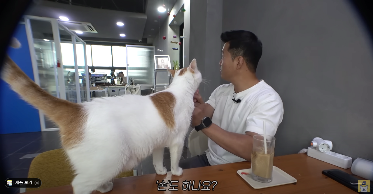 고양이는 잘 모르는 강형욱 근황 ㄷㄷ...jpg