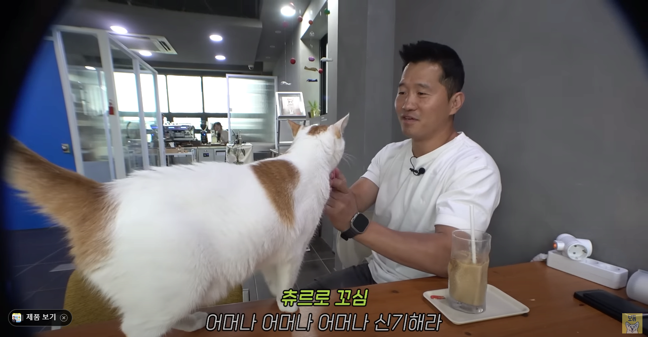 고양이는 잘 모르는 강형욱 근황 ㄷㄷ...jpg