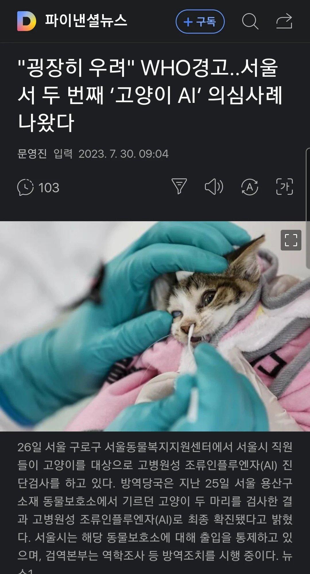 123.webp.ren.jpg 길냥이들 살처분각 떴다ㅋㅋㅋㅋㅋㅋㅋㅋㅋ