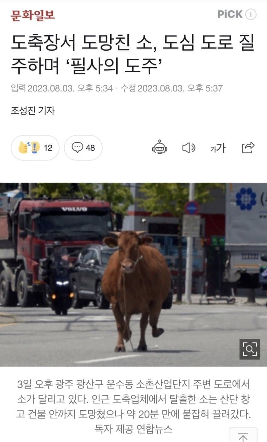 1691059126.jpg 오늘 광주에서.... 경찰 추격전도 있었네