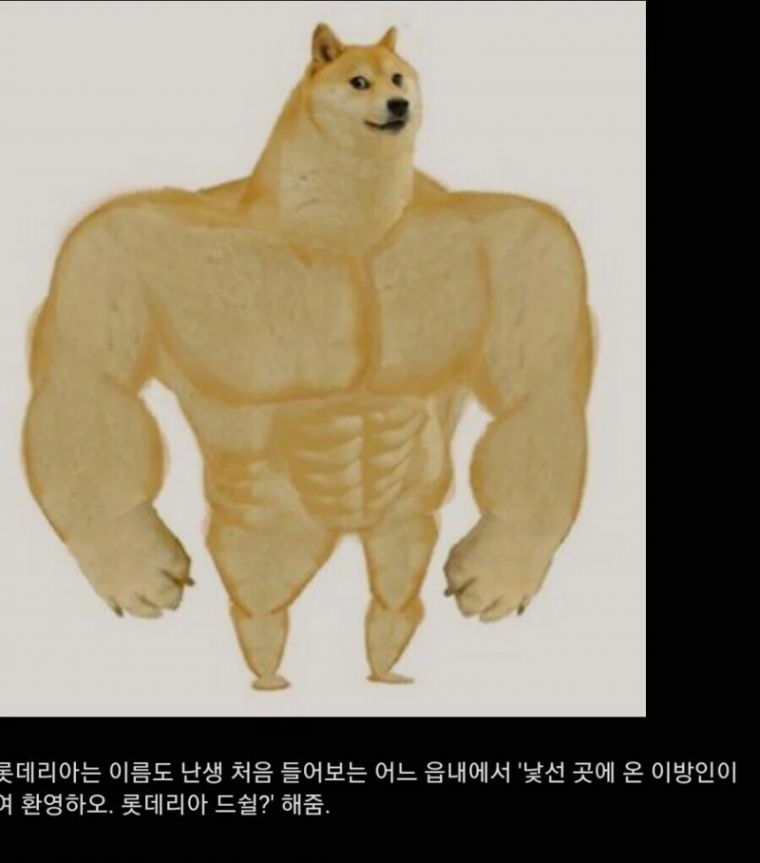 IMG_1788.png 인정할수 밖에 없는 롯데리아 장점.jpg