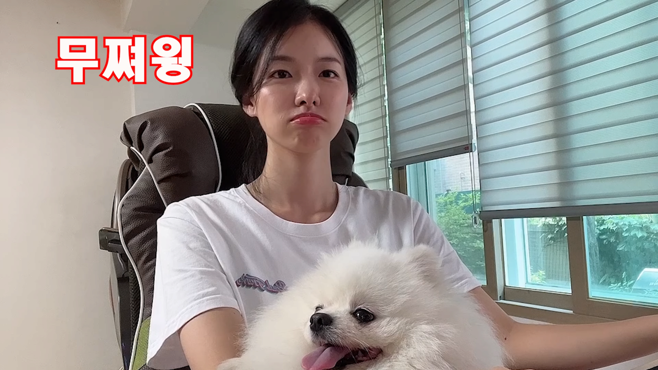 image.png 배우 이시아, 스타 유튜브 구독자 10만 달성 추이