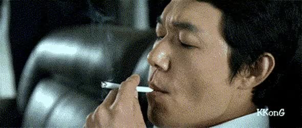 PracticalCooperativeBunny-size_restricted.gif