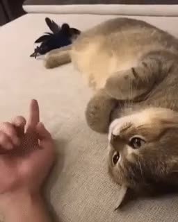 e170750d163d015ee540aa4e54edf32c5c91f7fe_20210728141825.gif