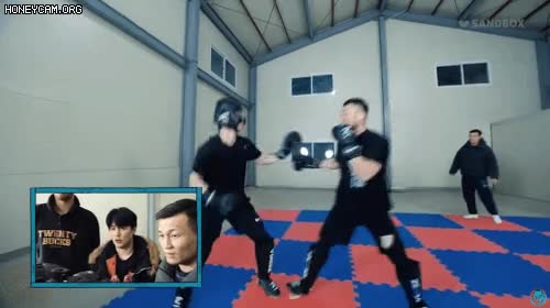 6.gif