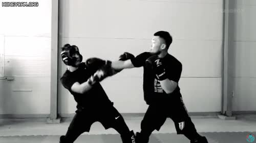 4.gif