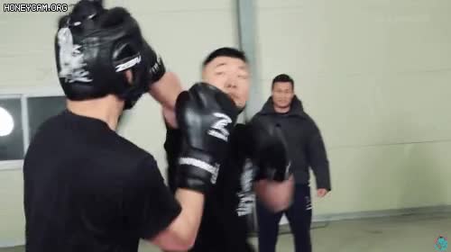 2.gif