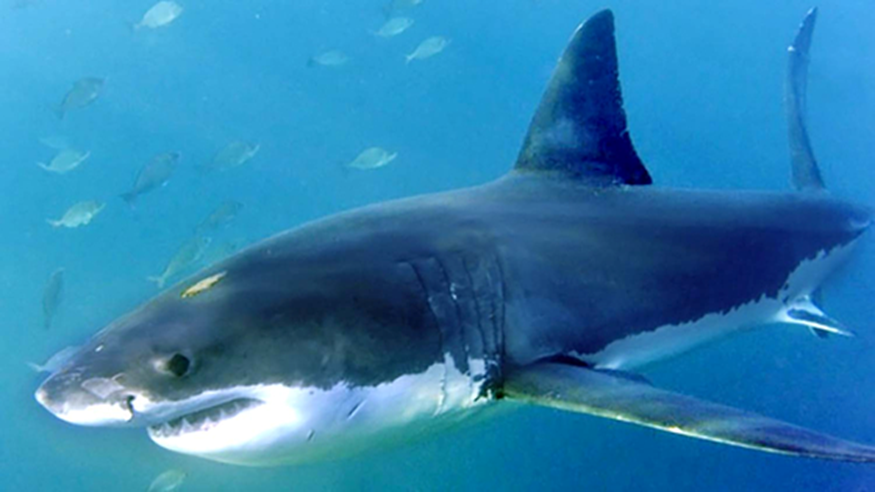 ㄴㅇㄱ하게 만드는 낚시하다가 경수진이 낚았다는 거…jpg (3)