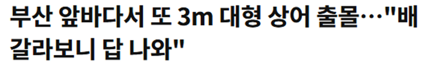 ㄴㅇㄱ하게 만드는 낚시하다가 경수진이 낚았다는 거…jpg (6)