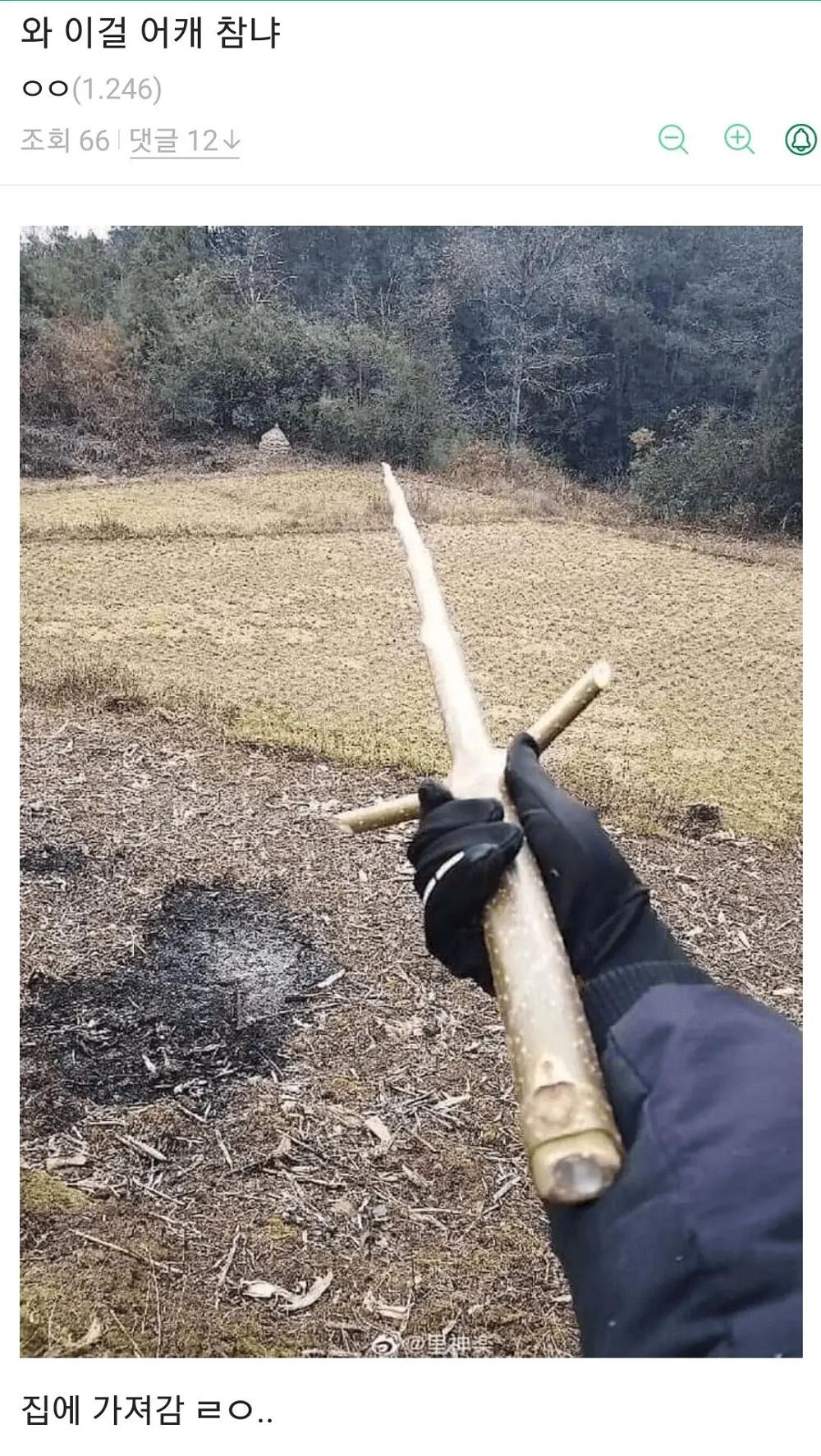 남자가 등산하다가 못 참은 것.png.jpg