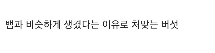 뱀 천적으로 알려진 동물 10.jpg