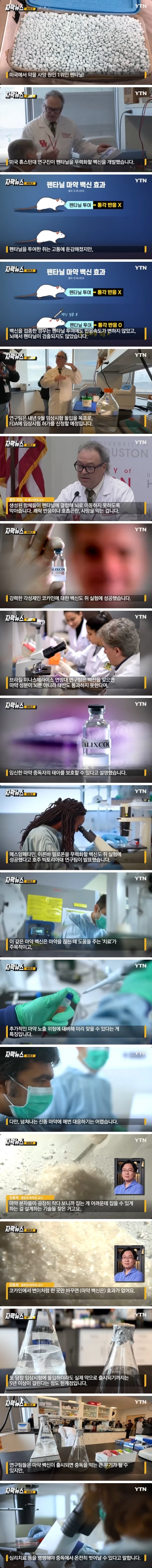 마약백신 개발근황.jpg