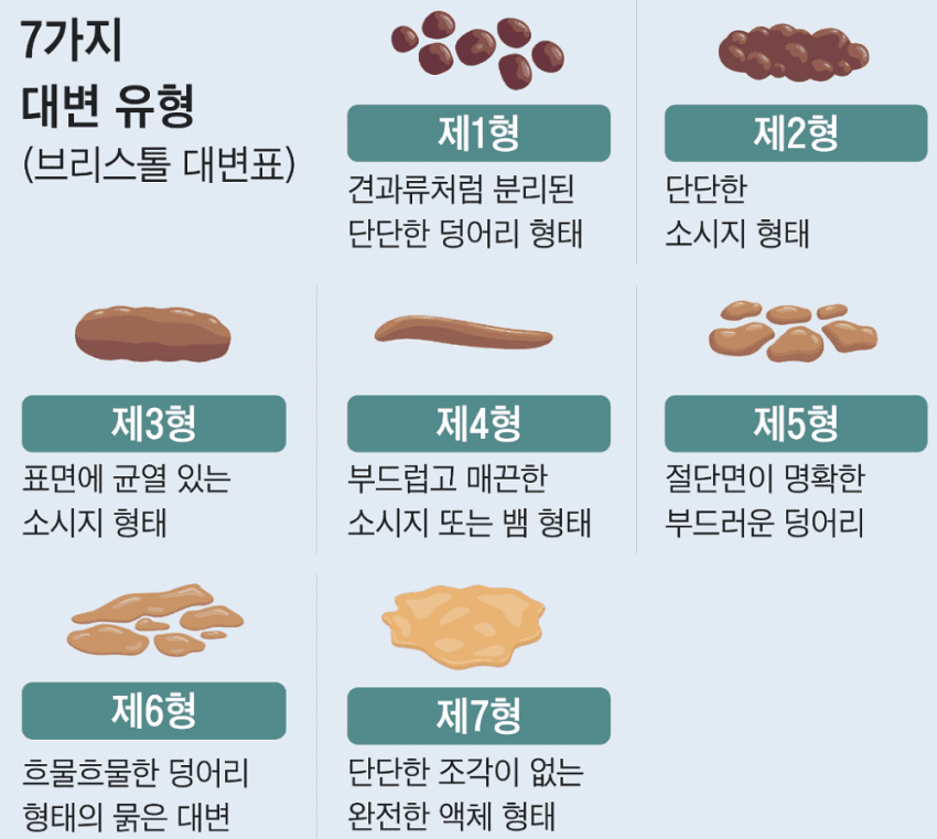16884607216769.png