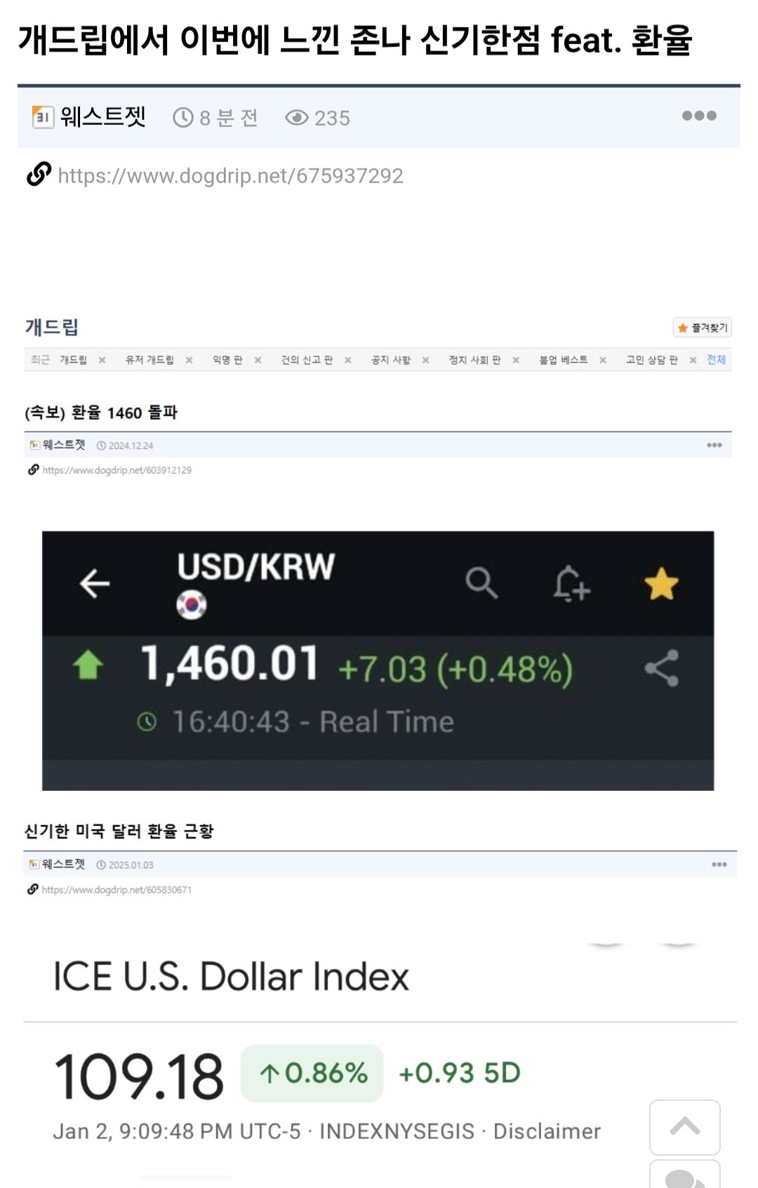 커뮤에 1년동안 환율글 올리던 사람.jpg