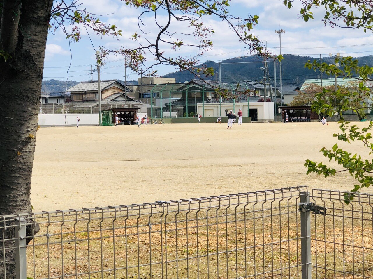 img.jpg