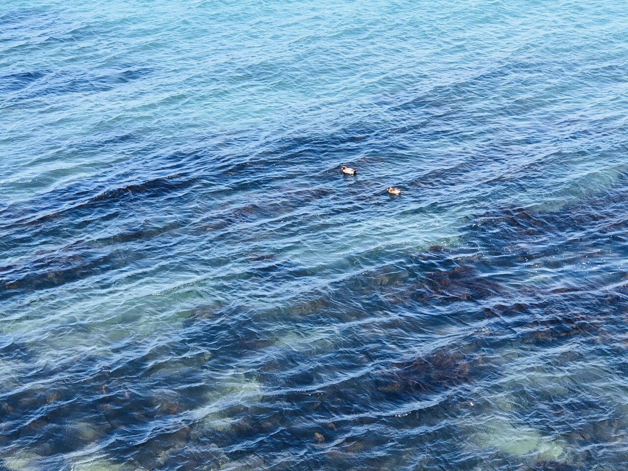 img.jpg