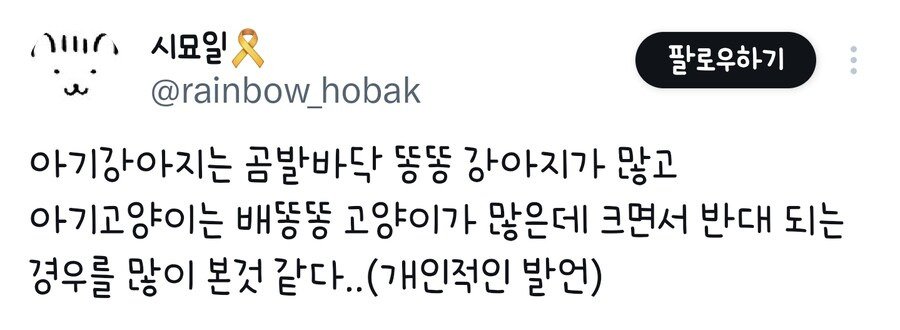 키우는 강아지가 롱다리가 되서 당황한 견주