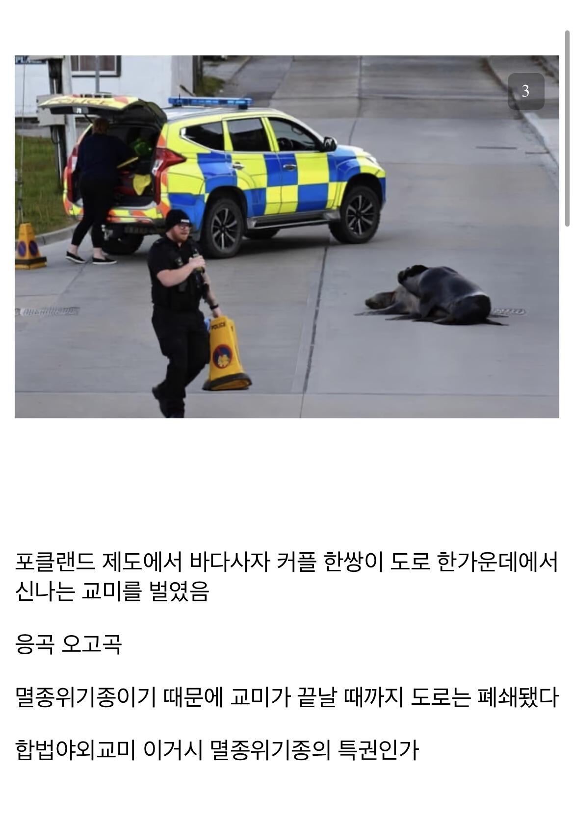 3fb1af10fb8d386450177a.png.jpg