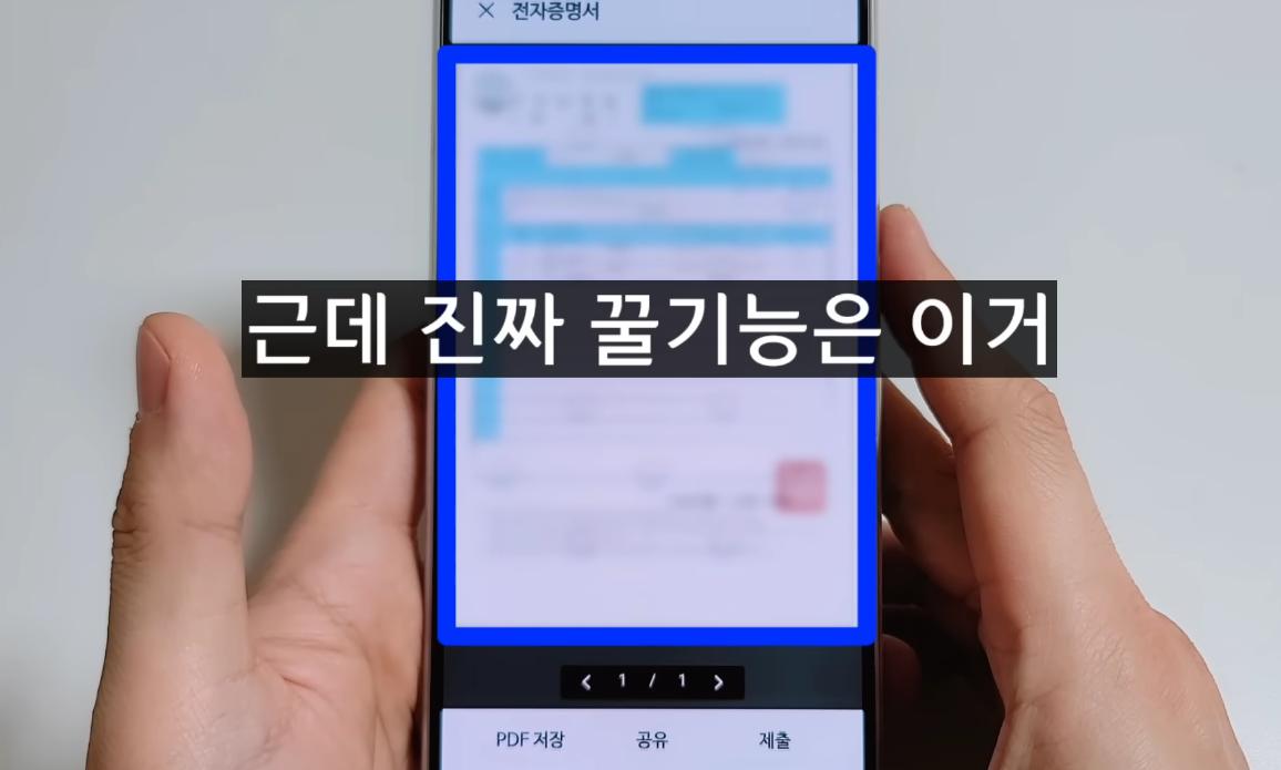 김짤.com_008.png.jpg