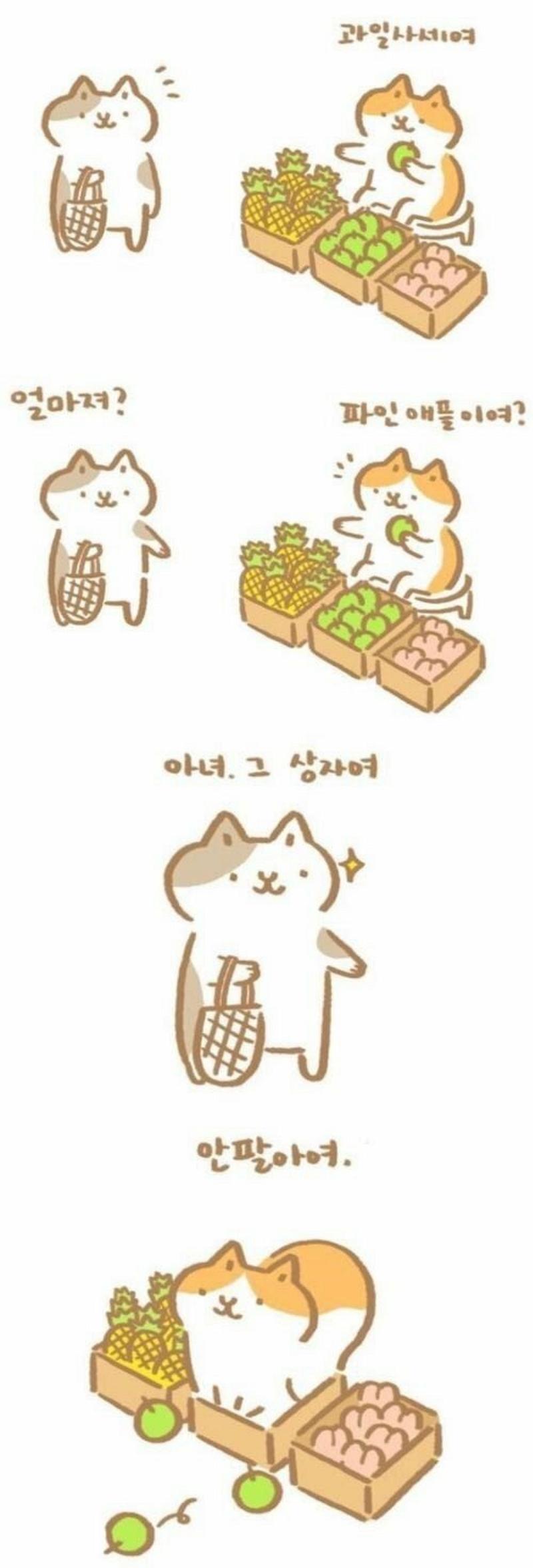 과일파는 고양이 만화.Manhwa.png.jpg