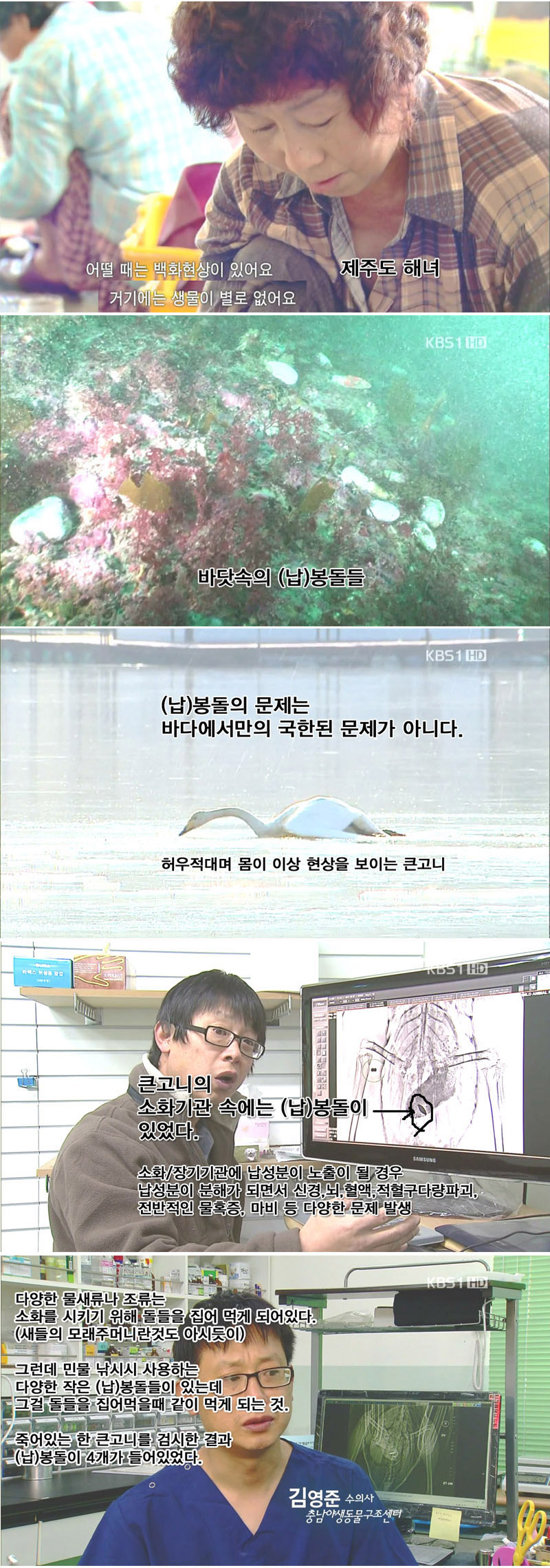 낚시꾼이 다녀간 뒤 고통받는 자연 - 꾸르