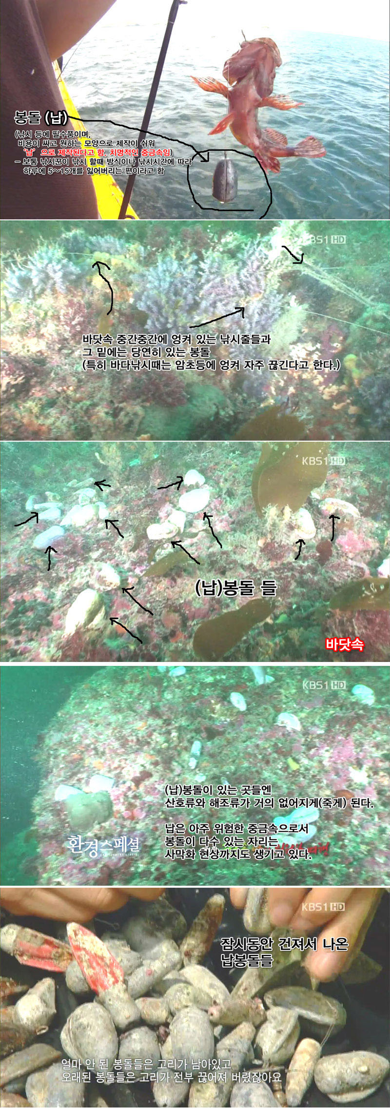 낚시꾼이 다녀간 뒤 고통받는 자연 - 꾸르