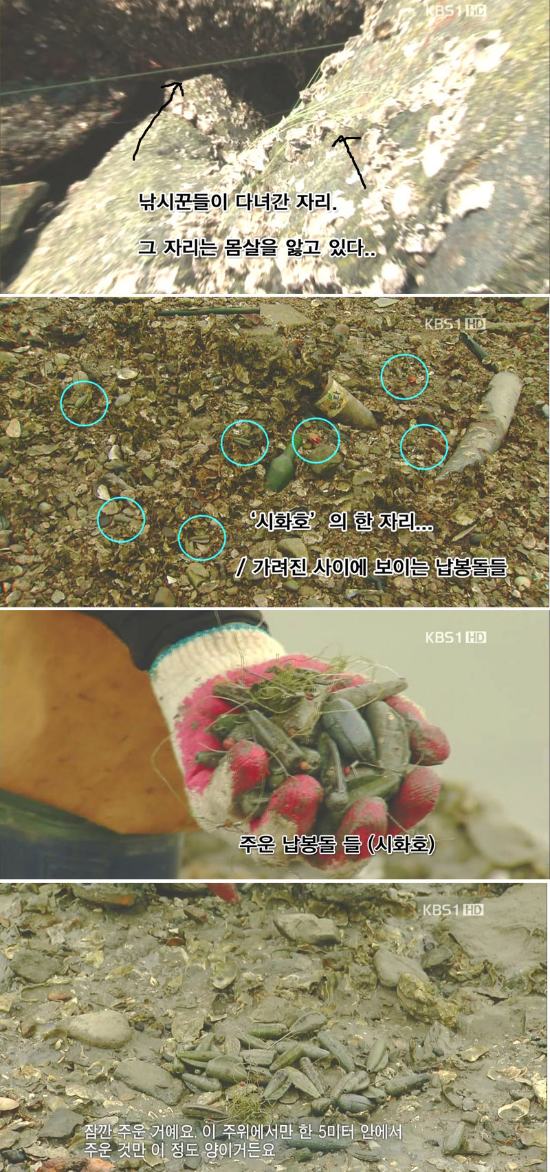 낚시꾼이 다녀간 뒤 고통받는 자연 - 꾸르