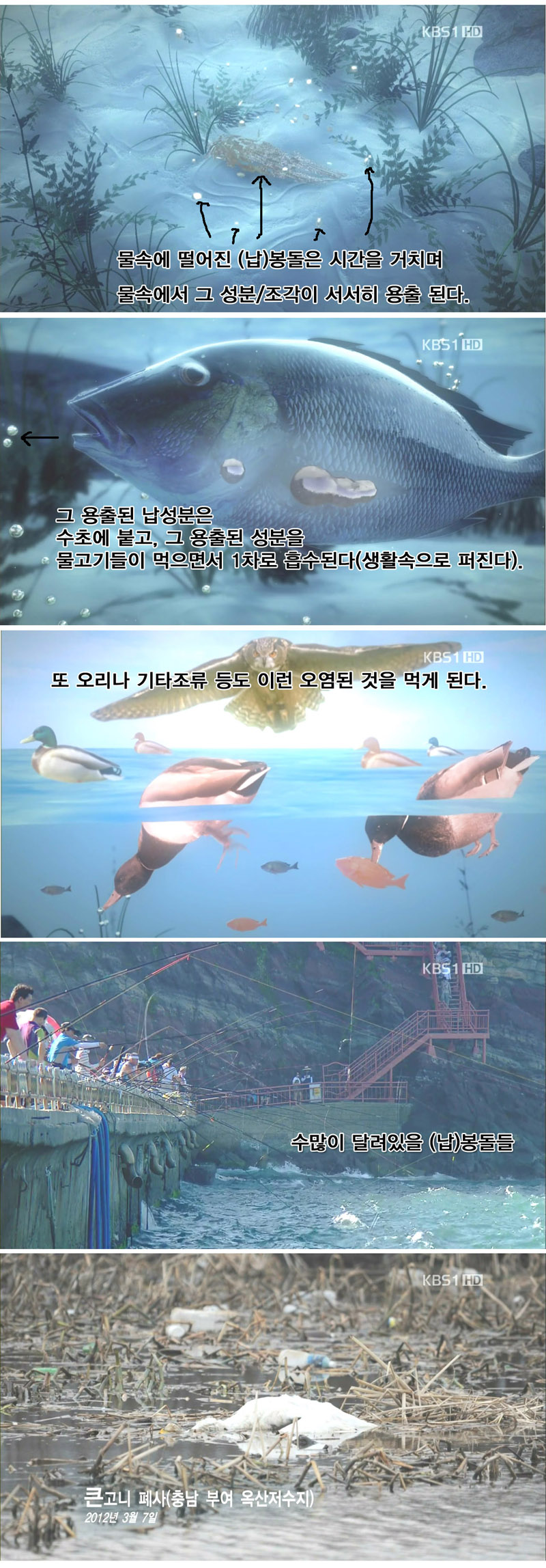 낚시꾼이 다녀간 뒤 고통받는 자연 - 꾸르