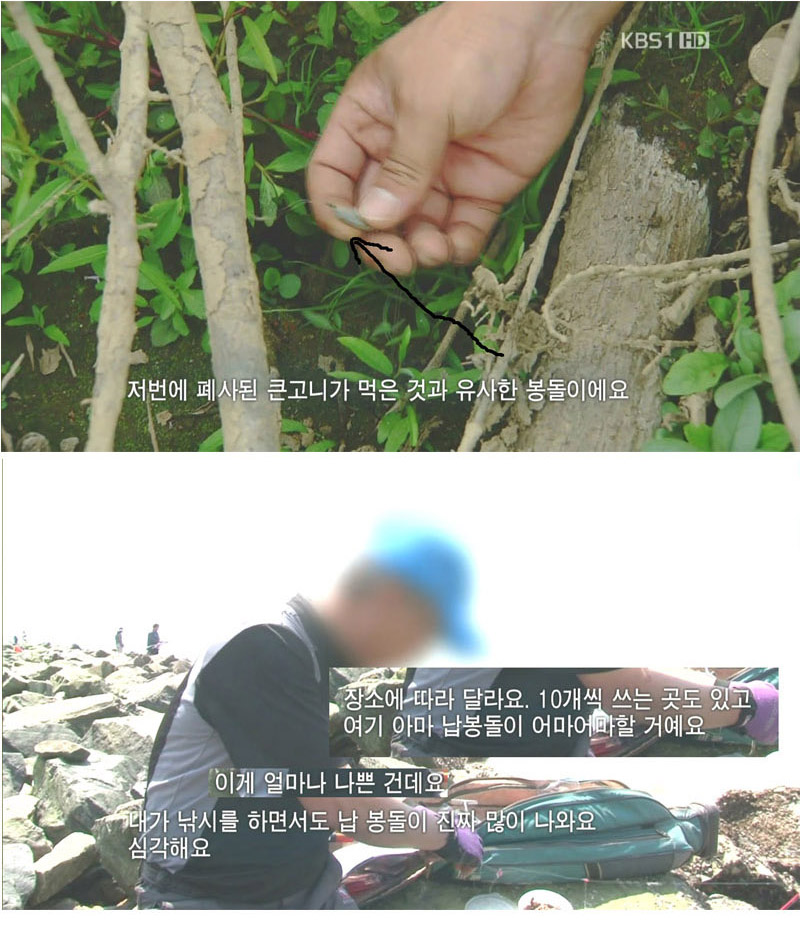 낚시꾼이 다녀간 뒤 고통받는 자연 - 꾸르