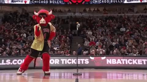 NBA의 흔한 마스코트 - 꾸르