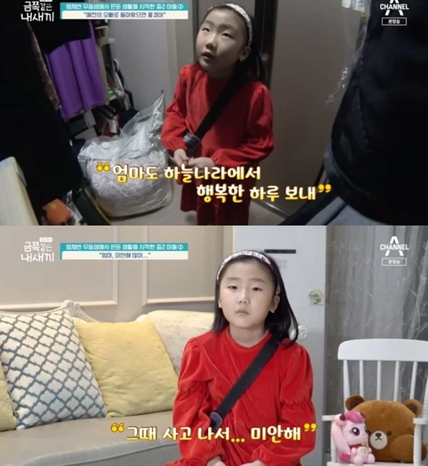 image.png 엄마 잃은 세종시 7살 금쪽이 사건의 근황...jpg