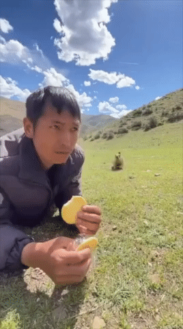 bta2ccfcd8b6e754ccb412917fab59a721.gif