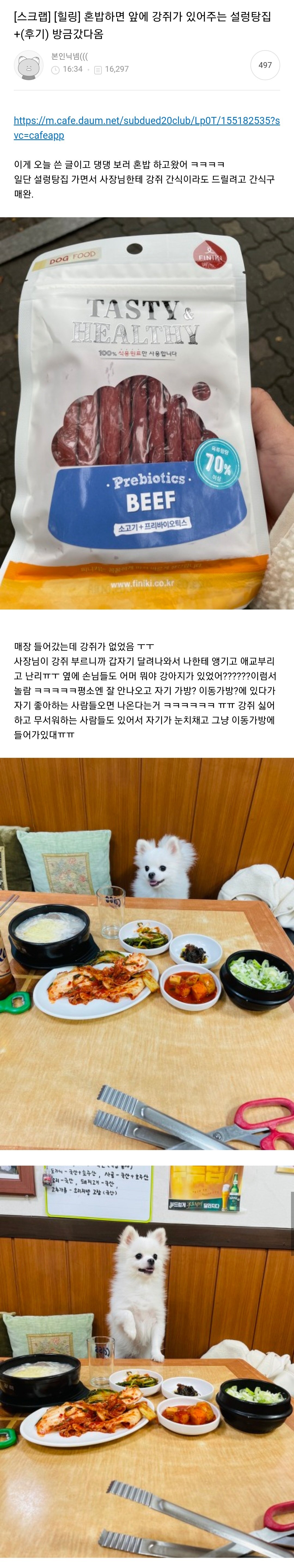 VBRyYZ.jpg 오늘자 혼밥하면 댕댕이가 옆에 있어준다는 설렁탕집 후기 ㄷㄷㄷㄷ...JPG