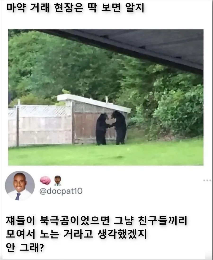 a9cd51287d236c104e89888aefeeba65.webp.ren.jpg
