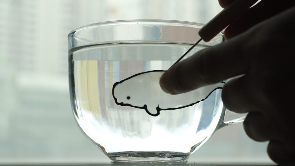 6팀의 아티스트가 참여한 걸그룹 OWIS 하이라이트 메들리 2번째 사진