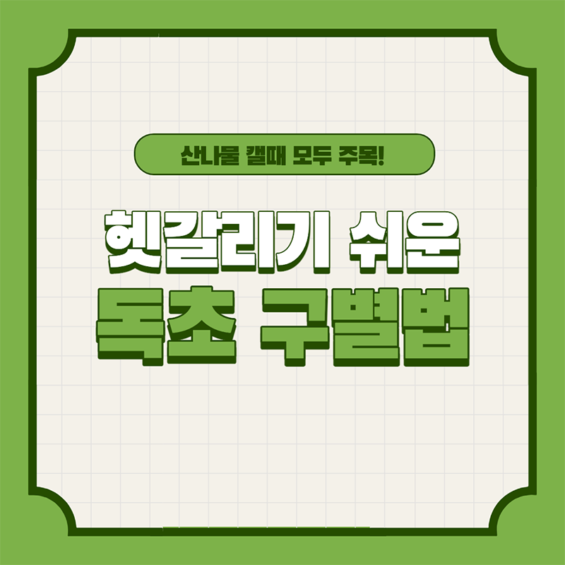산림청에서 알려주는 헷갈리기 쉬운 산나물과 독초 구별법 - 꾸르