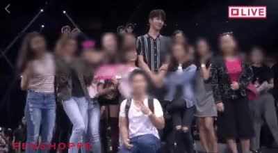 2.gif