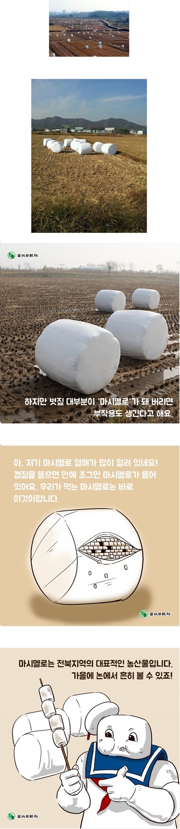 한국인만 모르는 한국 특산품