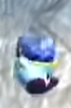 16888789303108.png