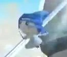 16888789393608