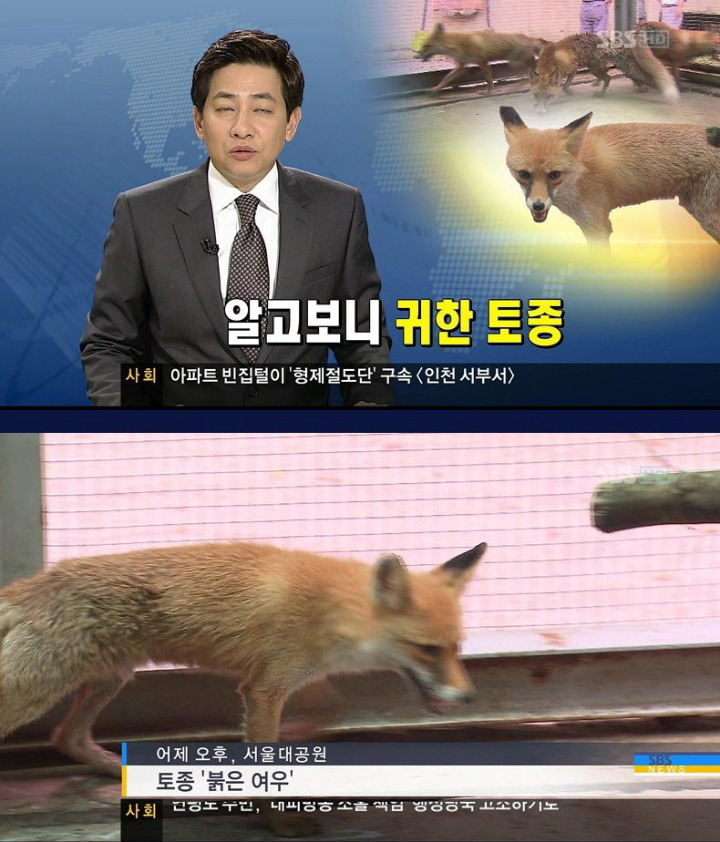 24post.co.kr_001.png