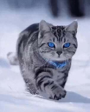 20220218_153009.gif