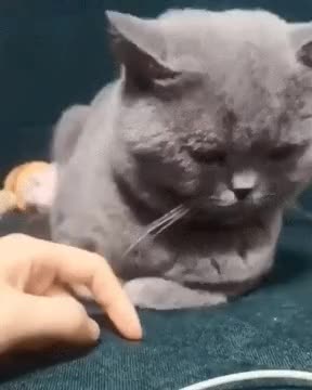 170ba537fbf148aed.gif
