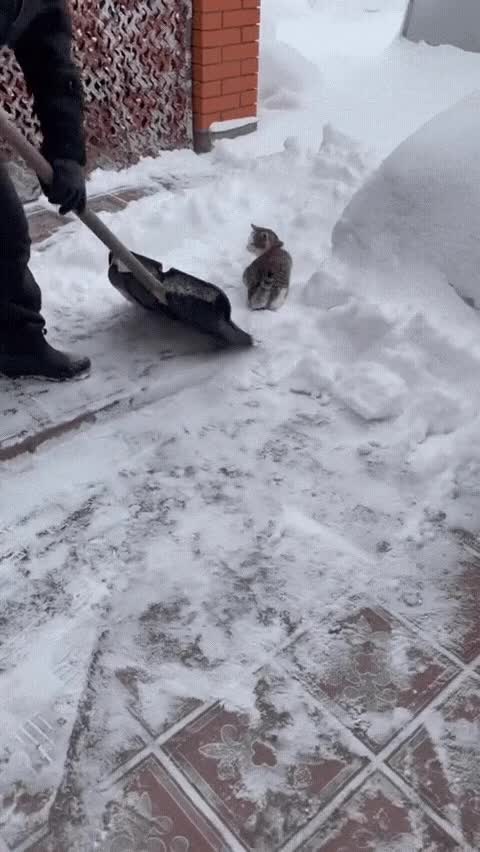 20220207_115222.gif