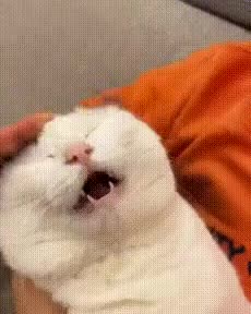 152dfgfg899df55.gif