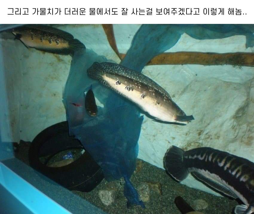 24post.co.kr_016.jpg