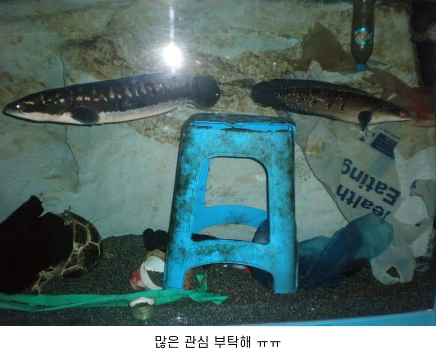 24post.co.kr_017.jpg