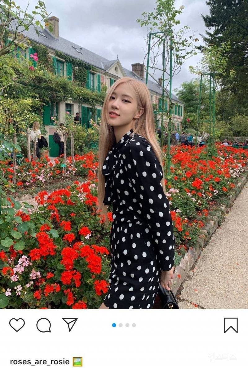 김짤.com_003.jpg